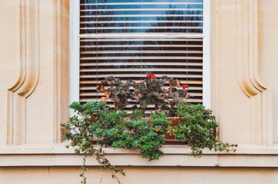 Should You Wait Until Spring to Sell? Maybe Not…